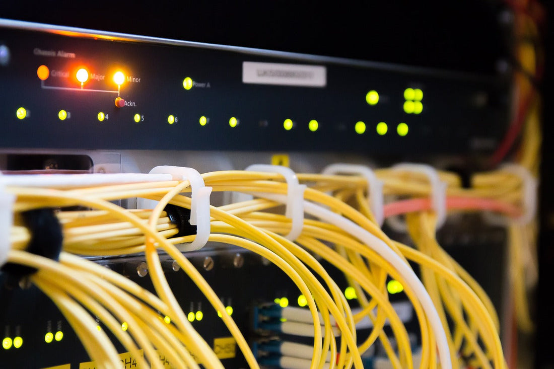 Close-up of network cables connected to a server with illuminated indicator lights.